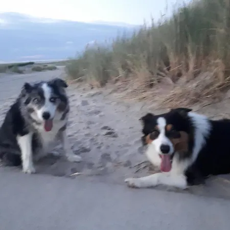 Vlak Bij Het Apartmán