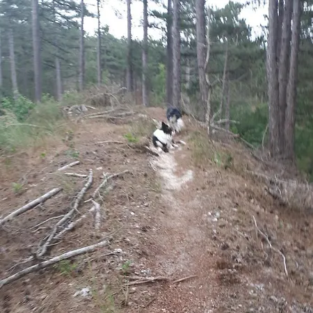 Vlak Bij Het Apartamento *