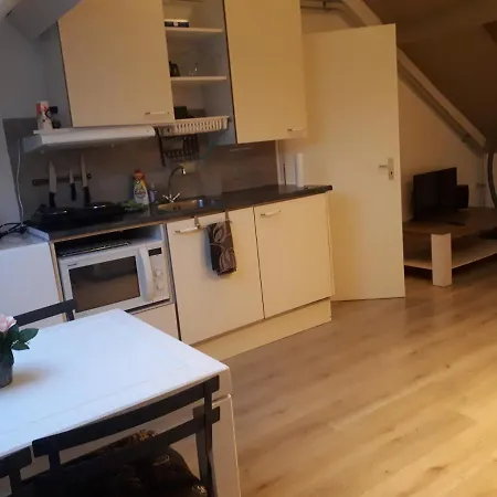 Lejlighed Vlak Bij Het Petten