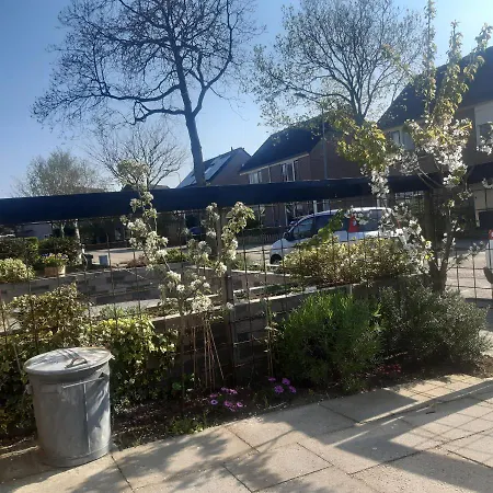 Vlak Bij Het * Petten