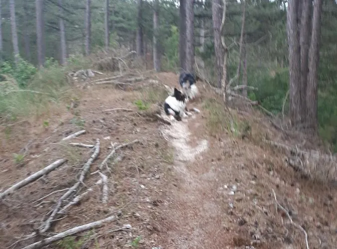 Vlak Bij Het Apartment *