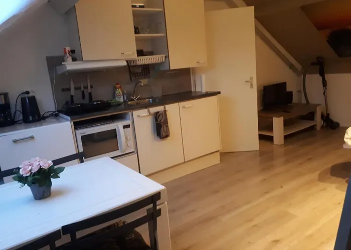 Apartment Vlak Bij Het Petten