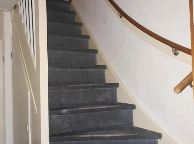 Vlak Bij Het Apartment Petten