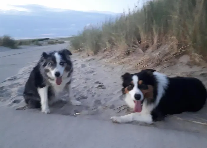 Vlak Bij Het Apartment