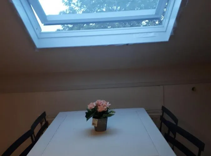 Apartment Vlak Bij Het Petten